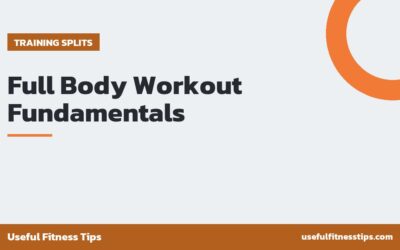Full Body Workout Fundamentals